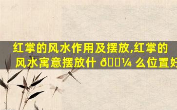 红掌的风水作用及摆放,红掌的风水寓意摆放什 🌼 么位置好